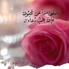 abo.amar46