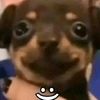 el_paltita_5
