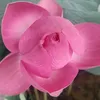 nguyenchiennhaddatbentre