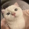 midaniela_5566