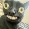 tiktotcooo