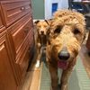 deltathedoodlebaby