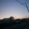 bluey_32456