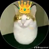 eggcatreal