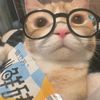 soypanchopanchona