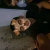 pan0tski