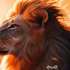 alrsam89.alrsam