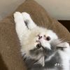 heeendr29_