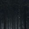 mohz_2500