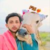 irfanmalik5648