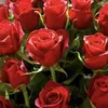 hassan.ali2849