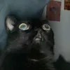im.attachiant7