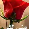 user10816318256186