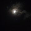sie_jo3391