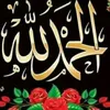 user7638846300750