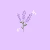 kfran__18