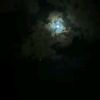 muneerahmed4595