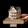 chama_789789
