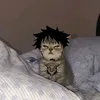 laww.10
