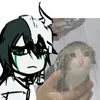 ._.istota