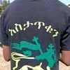 .77743768
