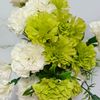 thuy.linh.le85