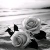 user47686143261717