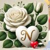 najaf.khan.555