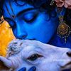 shyamol.roy39