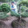 ng.nguyenvan