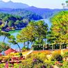 tran.thanh4072