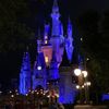 caydenatdisney