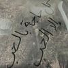 alaa.eldeen7