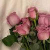 fatima_5056