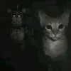 fffttiiy