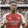 realwilliamsaliba_2