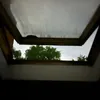 kob.monke