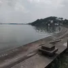 dng.ru344