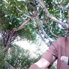 houssam.amsp