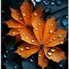 user73212721113333