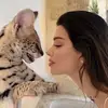 luully