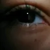 _luiza.xzx