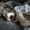 matt_6083