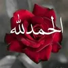 user5870926275144