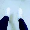 nolve80