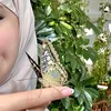 h_leh123