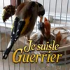 .uk.guerrier
