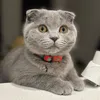 lucyishere1