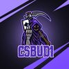 csbud1