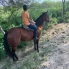heenzo1
